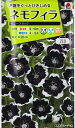 ★送料90円メール便OK★【ネモフィラ】ペニーブラック【タキイ種苗】0.6ml【耐寒性一年草】【RCP】02P05Nov16