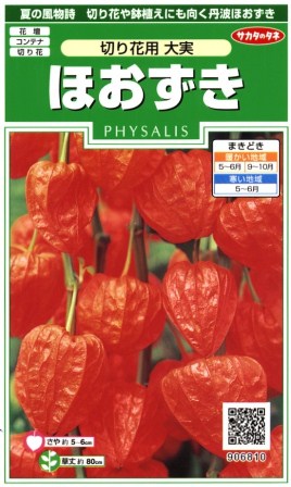 ★送料90円メール便OK★【ほおずき】切り花用大実【サカタのタネ】（0.5ml）【多年草】…...:yonezawa:10000873