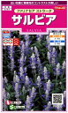 ★送料90円メール便OK★【ブルーサルビア】ファリナセア ストラータ【サカタのタネ】(0.2ml)【春まき一年草】905203【RCP】