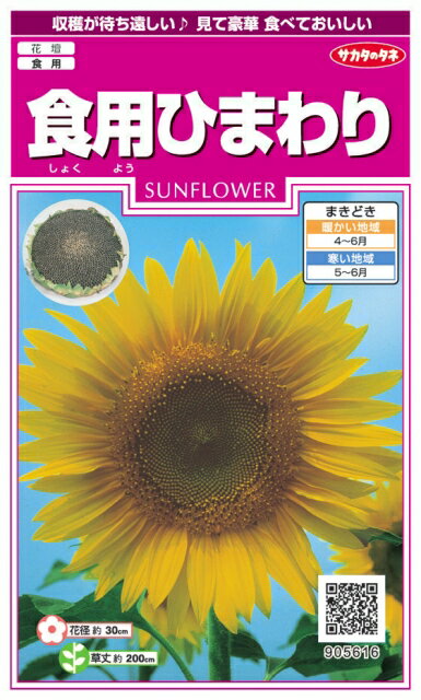 ★送料70円郵便OK★【ヒマワリの種】食用ひまわり【サカタのタネ】