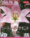 【秋植え球根】〜すかしゆり〜パーティーダイヤモンド(2球詰)【サカタのタネ】 02P05Nov16