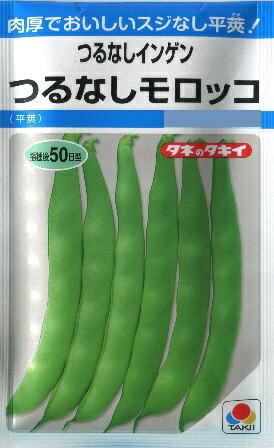 ★送料70円郵便OK★【つるなしインゲン】つるなしモロッコ30ml 【タキイ種苗】春まき野菜種【極早生】【SBZcou1208】色と風味が抜群！菜園に最適のスジなし平莢！