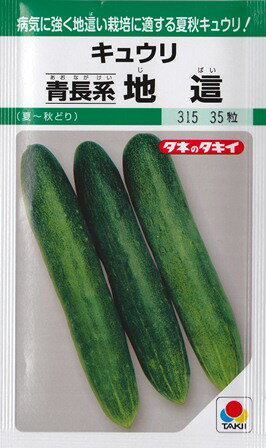 ★送料70円郵便OK★【キュウリ】青長系‘地這’(じばい) 【タキイ種苗】春まき野菜種【SBZcou1208】10％off★暑さに強い濃緑、短形の白イボ種