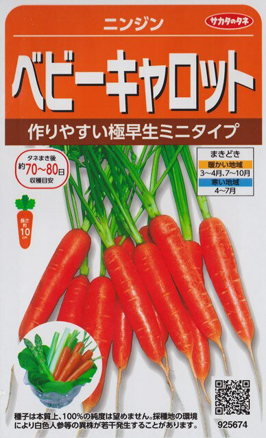 ★送料70円郵便OK★【ニンジン】ベビーキャロット【サカタのタネ】野菜種【5ml】【SBZcou1208】10%off★つくりやすい極早生ミニニンジン丸ごと調理向き