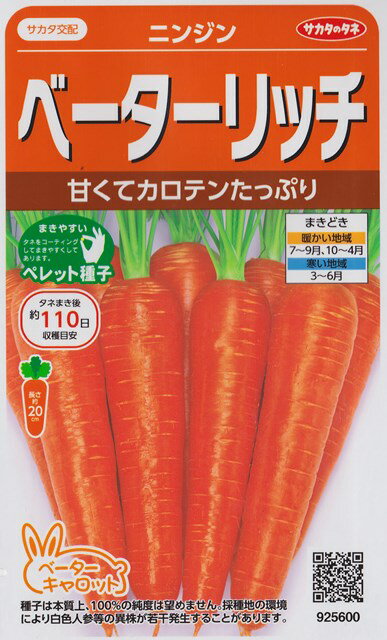 ★送料70円郵便OK★【ニンジン】ベーターリッチ【サカタのタネ】野菜種【ペレット350粒】【SBZcou1208】