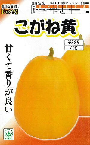 ★送料90円メール便OK★【メロン】こがね黄メロン【山陽交配】（20粒）野菜種/山陽種苗[春まき]【RCP】