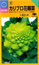 ★送料90円メール便OK★【カリフラワー】カリブロ花椰菜【中原採種場】野菜種(0.7ml)【RCP】