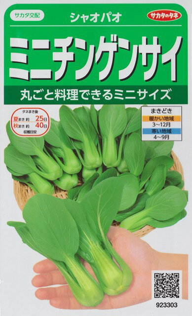 ★送料70円郵便OK★【ミニチンゲンサイ】シャオパオ【サカタのタネ】野菜種（3ml）【SBZcou1208】