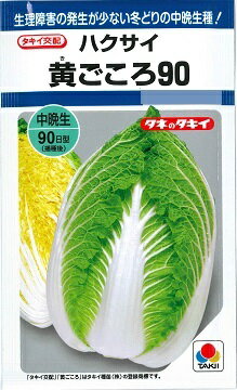 ★送料70円郵便OK★【ハクサイ】黄ごころ90　 【タキイ種苗】野菜種（1.2ml）【SBZcou1208】