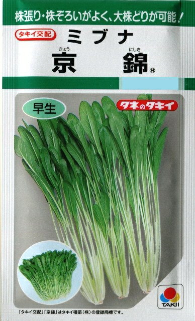 ★送料70円郵便OK★【ミブナ】京錦 【タキイ種苗】野菜種（5ml）【SBZcou1208】