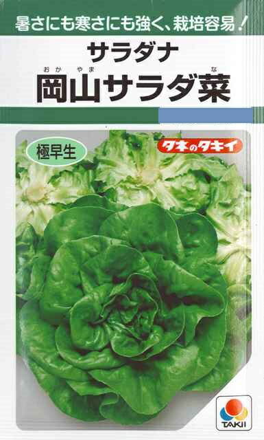 ★送料70円郵便OK★【サラダ菜】岡山サラダ菜 【タキイ種苗】野菜種（2ml）【SBZcou1208】