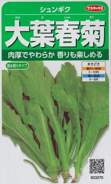 ★送料70円郵便OK★【シュンギク】大葉春菊 【サカタのタネ】野菜種（40ml）【SBZcou1208】