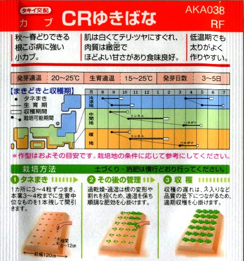 カブ栽培 12月に種まきできる品種と育て方コツ 暇人主婦の家庭菜園 楽天ブログ