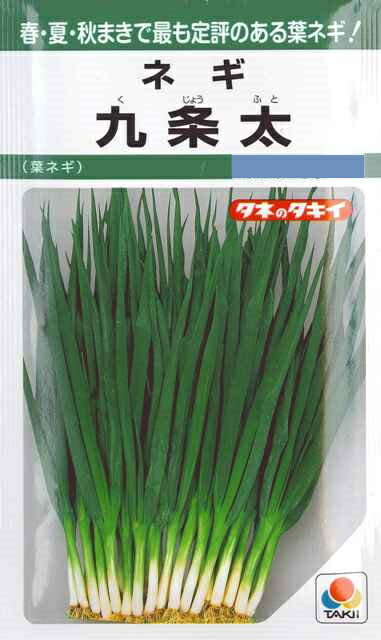 ★送料70円郵便OK★【葉ネギ】九条太（くじょうふと） 【タキイ種苗】野菜種（15ml）【SBZcou1208】