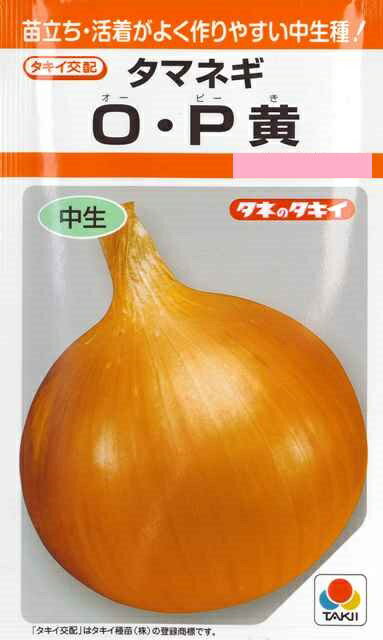 ★送料70円郵便OK★【タマネギ】O・P黄【タキイ交配】野菜種（4.5ml）【SBZcou1208】