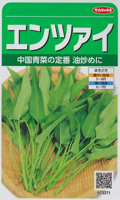 ★送料70円郵便OK★【中国野菜】エンツァイ【サカタのタネ】野菜種（13ml）【SBZcou1208】10％OFF★別名“空心菜（くうしんさい）”やわらかいつるの先を食べる手ごろな野菜