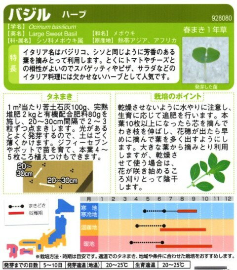 バジル栽培 育て方と摘芯方法 暇人主婦の家庭菜園 楽天ブログ