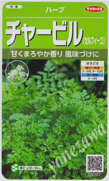 ★送料70円郵便OK★【ハーブの種】チャービル【サカタのタネ】6ml【耐寒性一〜ニ年草】グルメのパセリとも呼ばれる甘くマイルドな香り