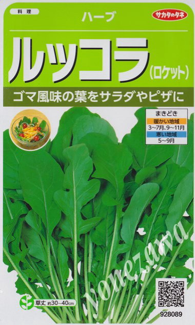 ★送料70円郵便OK★【ハーブの種】ロケット（ルッコラ）【サカタのタネ】2.5ml【耐寒性一年草】【SBZcou1208】10％off★ゴマのようなピリっとした辛みビタミン豊富でイタリア料理の定番