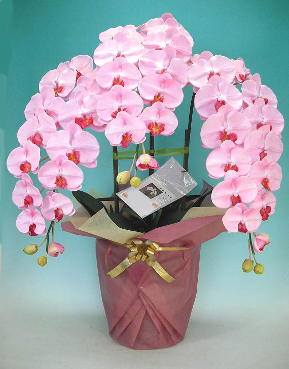 【光触媒】【造花】胡蝶蘭　大輪　特大　薄ピンク　3本立ち♪送料無料♪【smtb-TK】本物そっくりで生花と間違うほど精巧です。