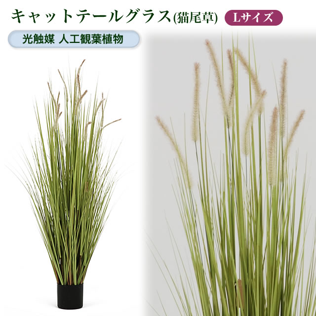 光触媒人工観葉植物L キャットテールグラス（猫尾草）【鉢 ポット 室内 観葉 おしゃれ 飾…...:yorozuya-souko:10009955