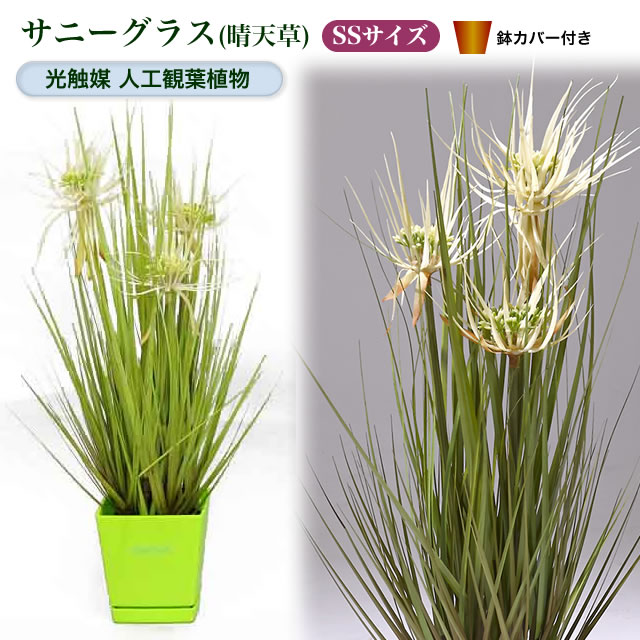 光触媒人工観葉植物SS サニーグラス(晴天草）鉢カバー付【鉢 ポット 室内 観葉 おしゃれ…...:yorozuya-souko:10009913