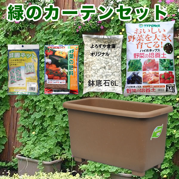 eco&ecoウインプランター深55型ゴーヤ栽培緑のカーテンセット 【深型プランター・家庭菜園 ガー...:yorozuya-souko:10003043