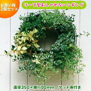 メッシュプランターラウンドFMP01-35G 2個セット