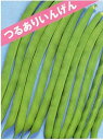 つくりやすく秀品率がとても高い品種ですツル有インゲン苗 3号ポット12株セット野菜苗【 10P11May09 】