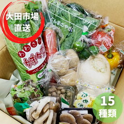 【大田市場直送】おまかせ野菜セット 15品【<strong>送料無料</strong>】おすすめ<strong>野菜詰め合わせ</strong> 商品を追加しても送料そのまま 市場をとおしてるので安心、安全 季節の野菜 お試し下さい ギフト グルメ