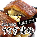 鹿児島県産　本格炭火焼うなぎ3尾と熟成タレ　【ひつまぶし】レシピ付【smtb-t】【楽ギフ_包装】【楽ギフ_のし】