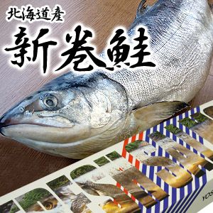 新巻鮭(甘塩）　北海道産　　一尾4,500円【送料無料】【smtb-t】