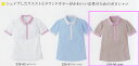 【ラッキーシール対応】女性用、レディス半袖ポロシャツ桜鼠239-96【】