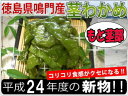 【徳島県鳴門産】塩蔵茎わかめもと茎部分(芽かぶ)コリコリの食感が人気!!栄養タップリ健康茎わかめ【要冷蔵】(300g×2パック)【送料無料】通常メール便でお送りします。：【SBZcou1208】