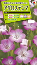 花種 NL200 アグロステンマ ギタゴ 小袋 [FZZ4...