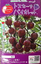マロウの地中海トマト トスカーナバイオレット ミニトマト種子 8粒【イタリアトマト】【野菜の種】