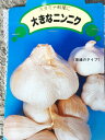 ジャンボニンニク種 種にんにく 鱗片 4〜5個 1袋 【種ニンニク】