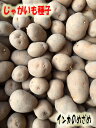 じゃがいも種子 インカのめざめ芋 1kg サイズ混合 【馬鈴...