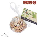 Naturalist ひのきのログアロマ(ミニ)40g / 天然木芳香剤 入浴グッズ 日本製