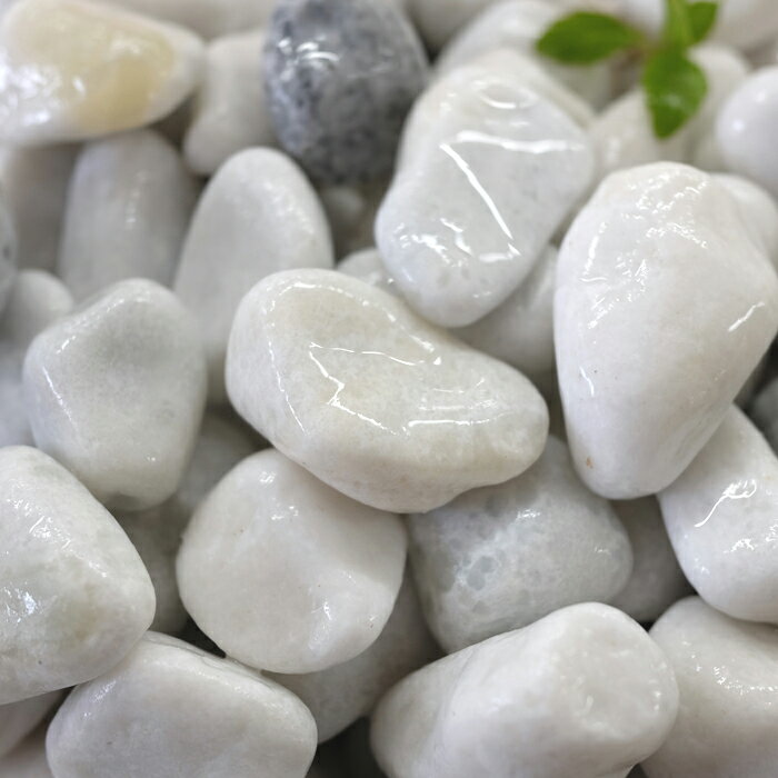 砂利 白 庭 白玉砂利 8分 (2.4〜3cm) 約19kg入り White Stone 送料無料 ...:yougan:10000097