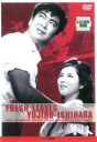 【送料無料】【中古】DVD▼若い人▽レンタル落ち