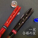 【名入れ非対応】 専用紙箱入り 一双 合格の星 全2種 お箸/名入れ/食器/合格祝い/ギフト/プレゼント/贈り物 ペア カップル/敬老の日