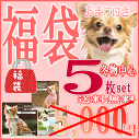 福袋 【緊急値下げ!】犬服 物 送料無料 5点セット うれし...