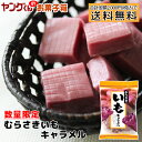 【アウトレット・訳あり】150gむらさきいもキャラメル(数量...