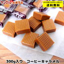 【アウトレット・訳あり】300gコーヒーキャラメル 【合計金...
