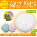 充電式あったか カイロ 充電式カイロ【エコカイロ/かいろ/暖房/ヒーター/ファンヒーター/コンパクト/スリム/暖炉型/レトロ/アンティーク/ぬくもり/温もり/温風/電気ストーブ/電気ヒーター】(10027817)