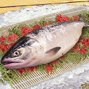 【厳選・北海道日高産】時鮭（時しらず）生　1本3.0kg〜3.9kg前後