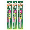 花王 ディープクリーン 歯ぐきケアハブラシ コンパクト ふつう