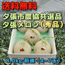 お中元 贈答品 夕張メロン 夕張市農協 共選品 秀品 8kg 前後 4玉から7玉 送料無料 赤肉メロン 着日指定不可