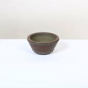 盆栽小鉢:美芸(常滑)7.2cm【現品】